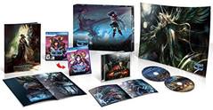 Stranger of Sword City [Limited Edition]