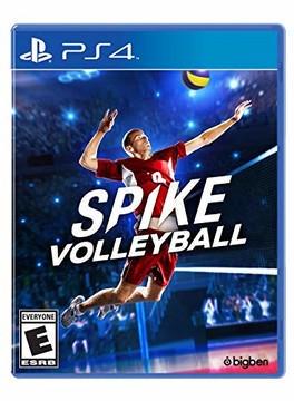 Spike Volleyball