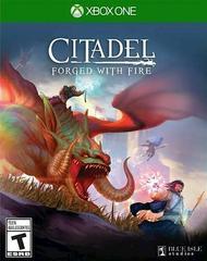 Citadel: Forged with Fire